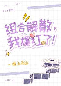 组合解散,我爆红了